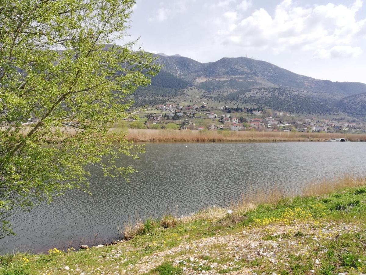 House With View In Amfithea Lejlighed Ioannina Eksteriør billede